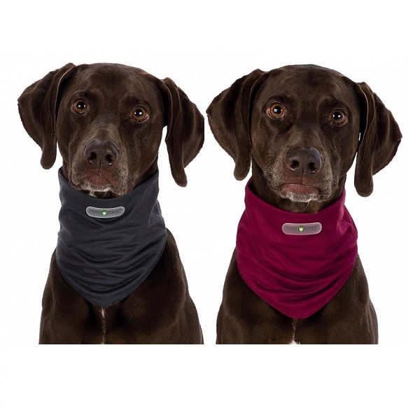 insect shield dog loop